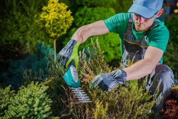 landscaping services Highland Holiday